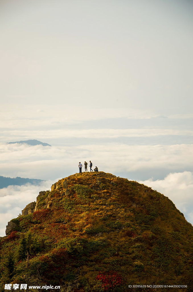 风景