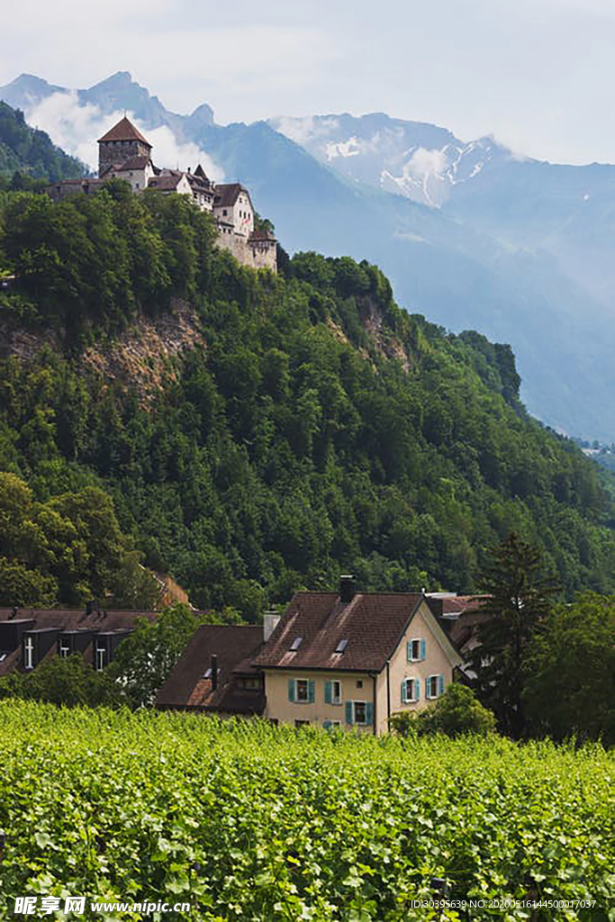风景