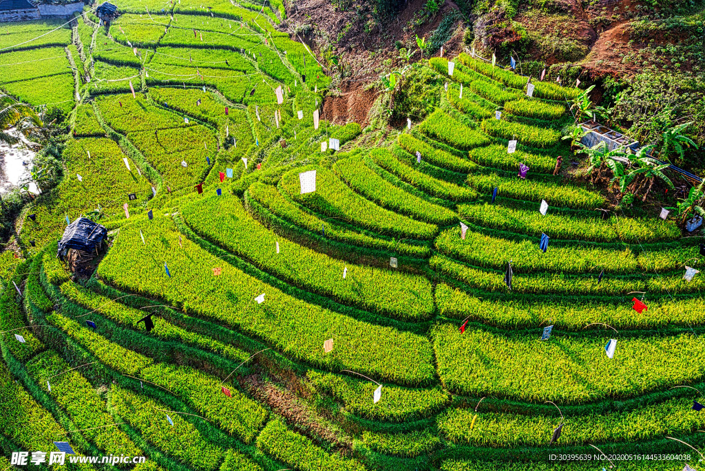 风景