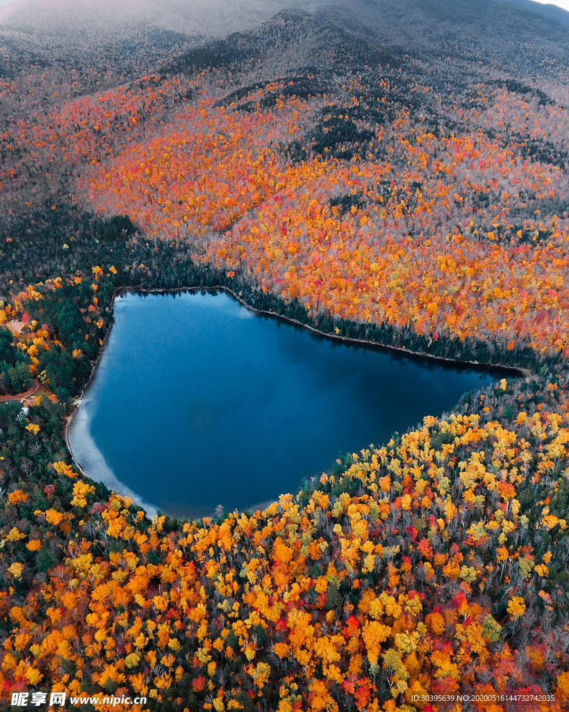 风景