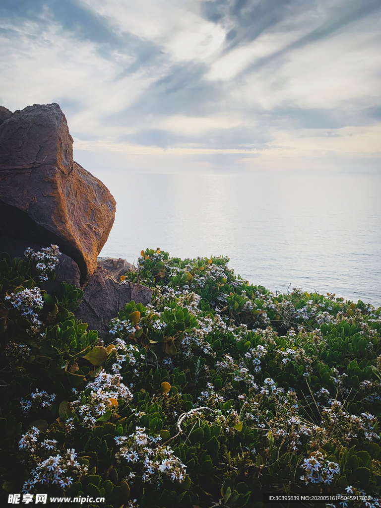 风景