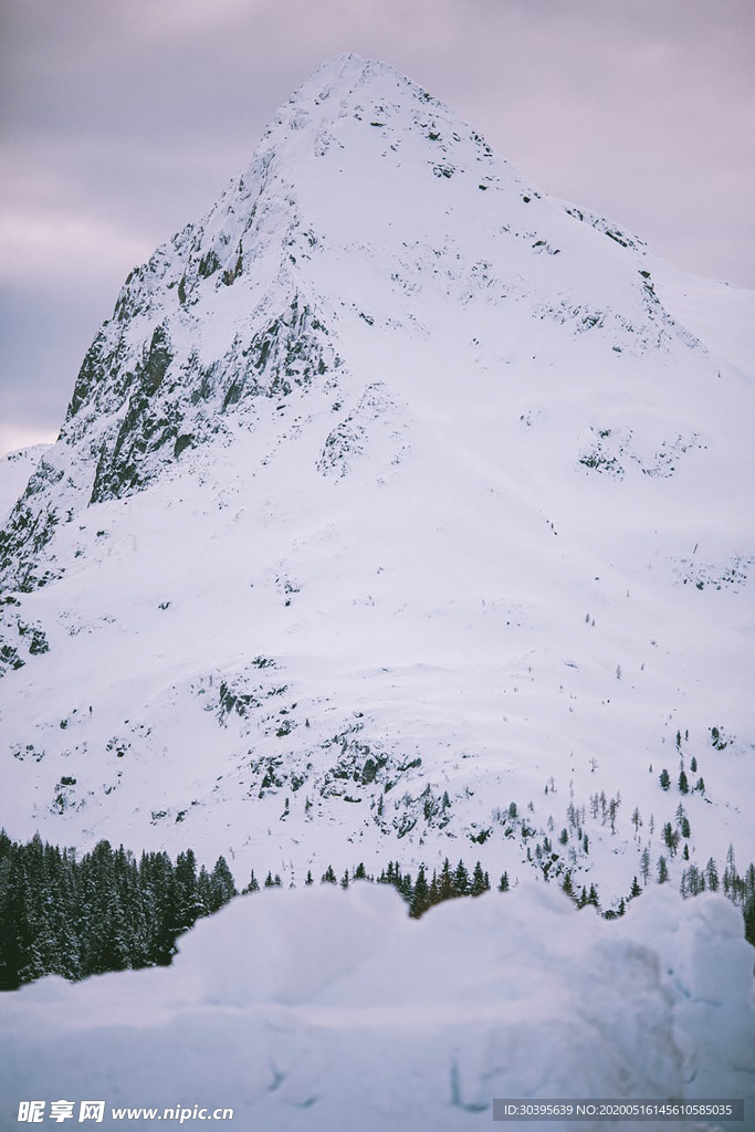 雪景