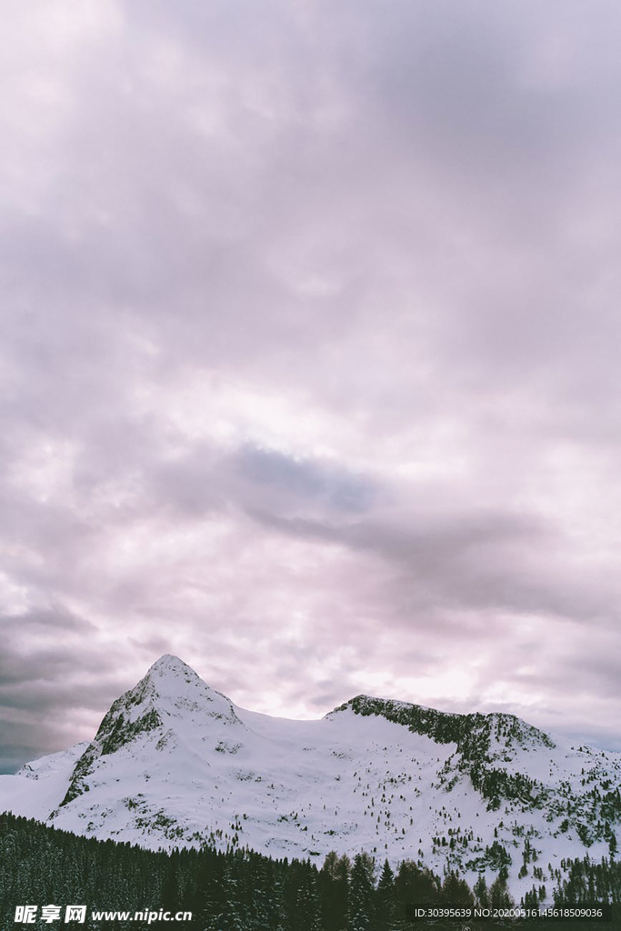 雪景
