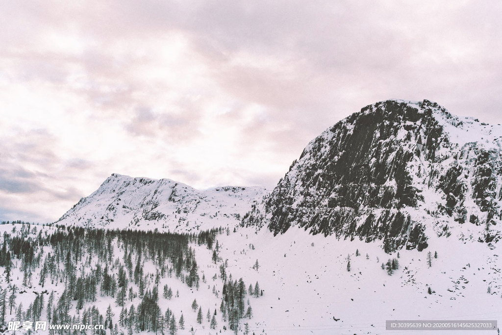 雪景