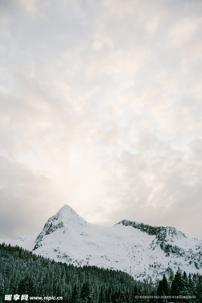 雪景