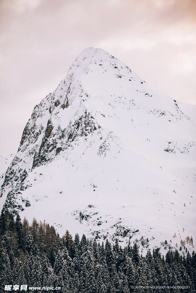 风景