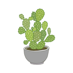 植物手绘