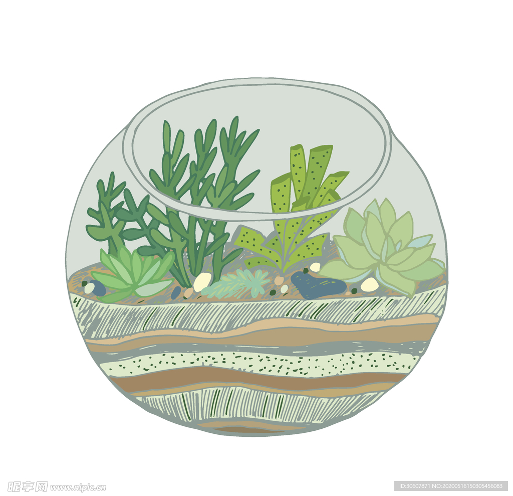 植物手绘