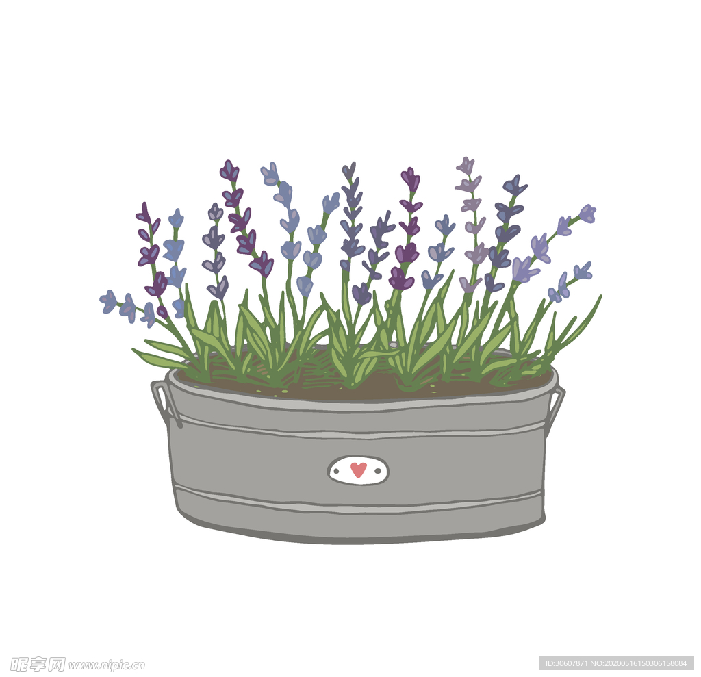 植物手绘