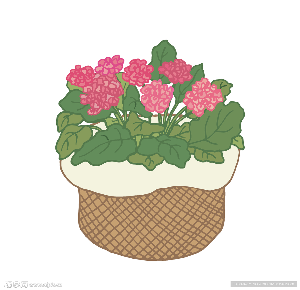 植物线条
