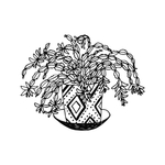 植物线条