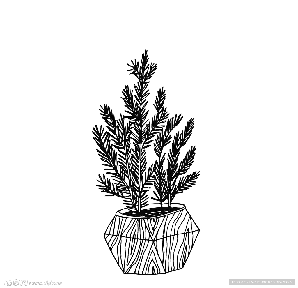 植物线稿