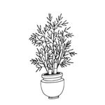 植物线稿