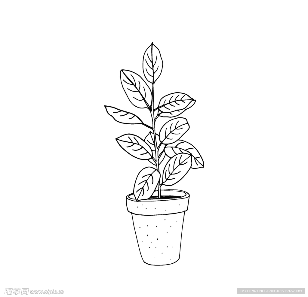 植物线稿