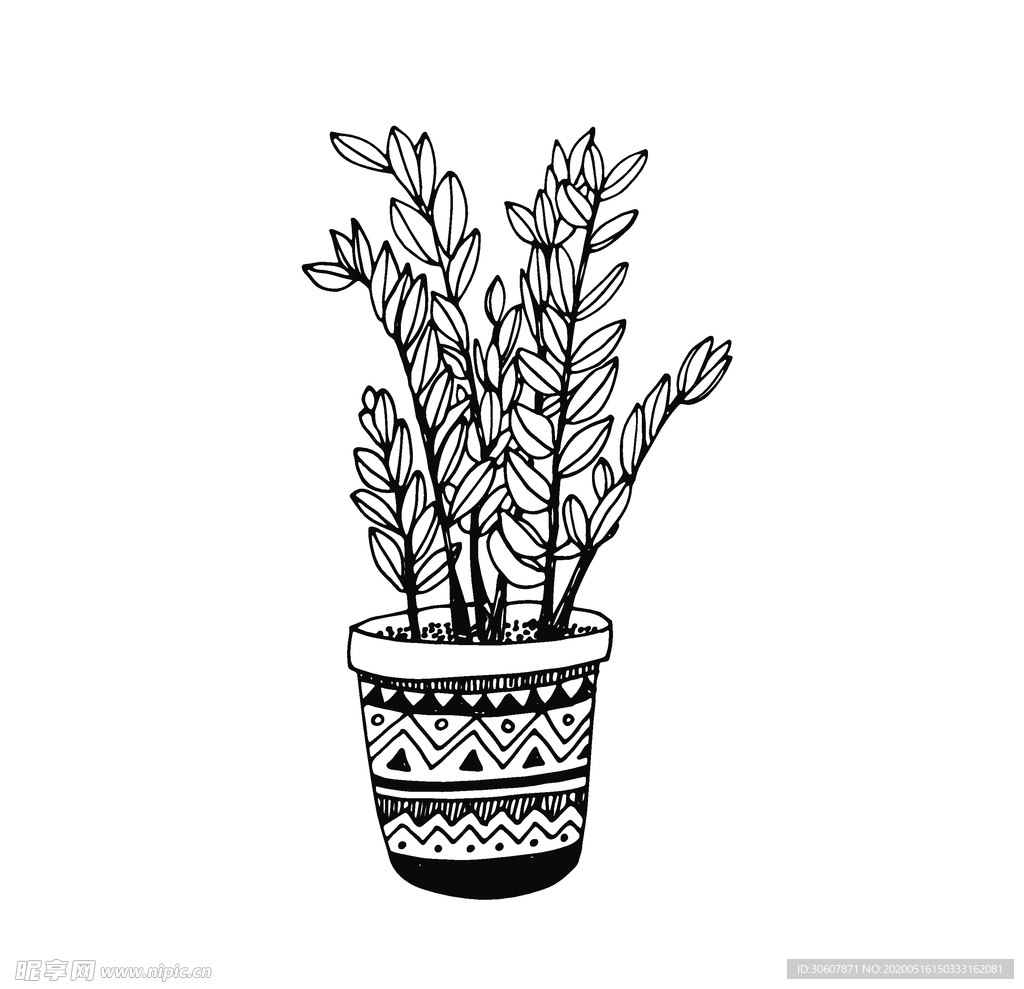 植物线稿
