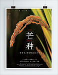 芒种海报 芒种 芒种广告