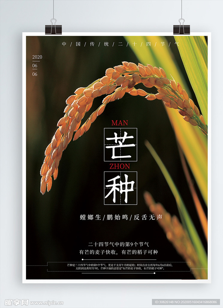 芒种海报 芒种 芒种广告