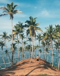 风景