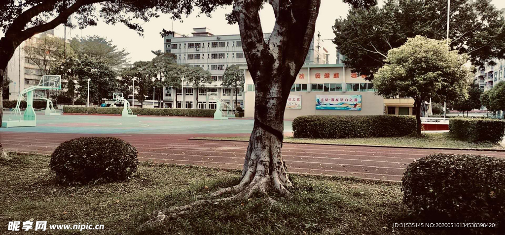 青春