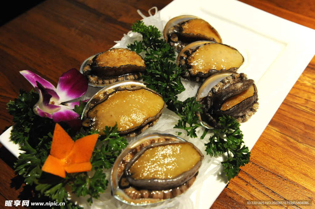 鲍鱼特写