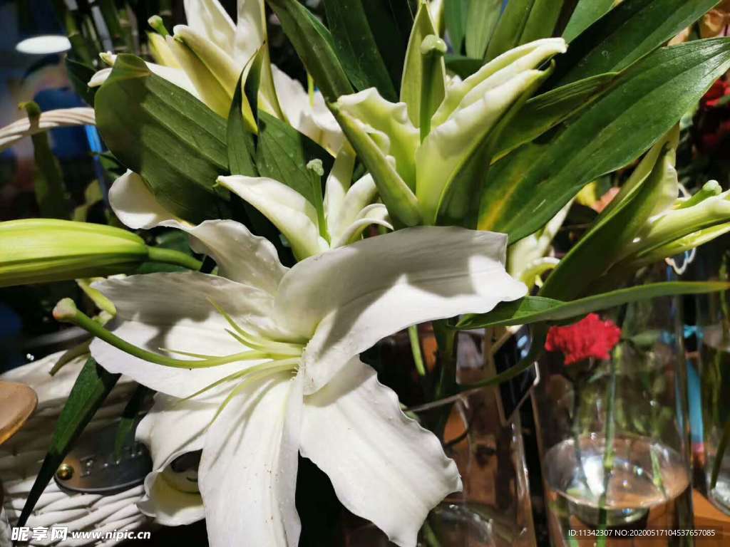 百合