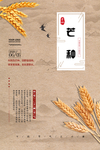 芒种海报
