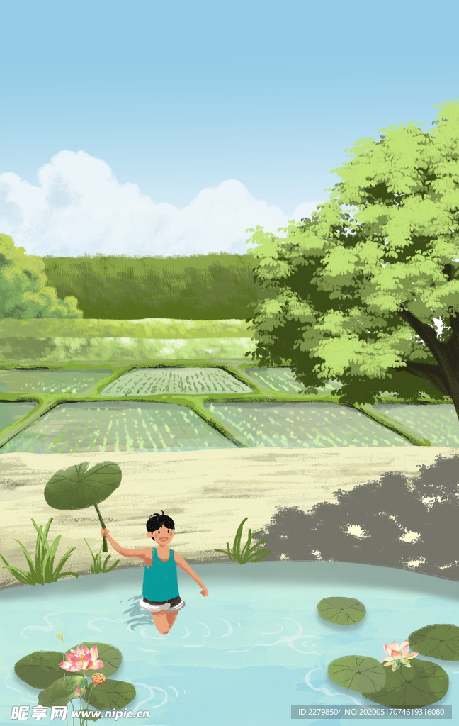 夏季稻田插画