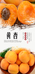 黄杏海报