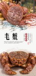 毛蟹海报