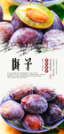 梅子海报