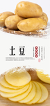 土豆