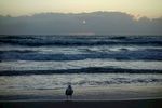 海浪