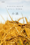 小满