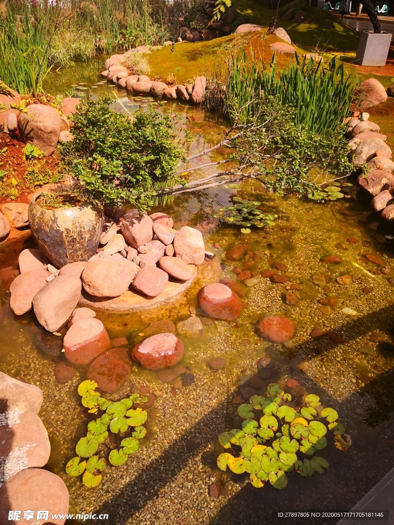 绿化景观 水景