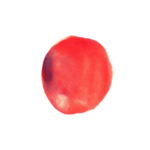 彩墨手绘