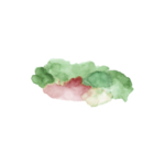 彩墨手绘