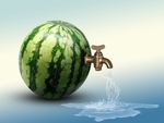 西瓜