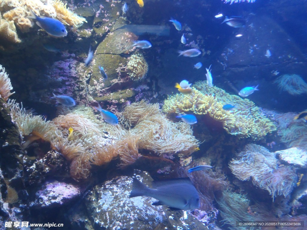 海底风光