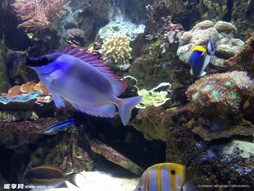 海底风光