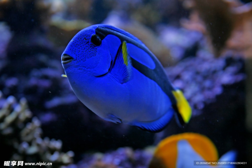 海底风光