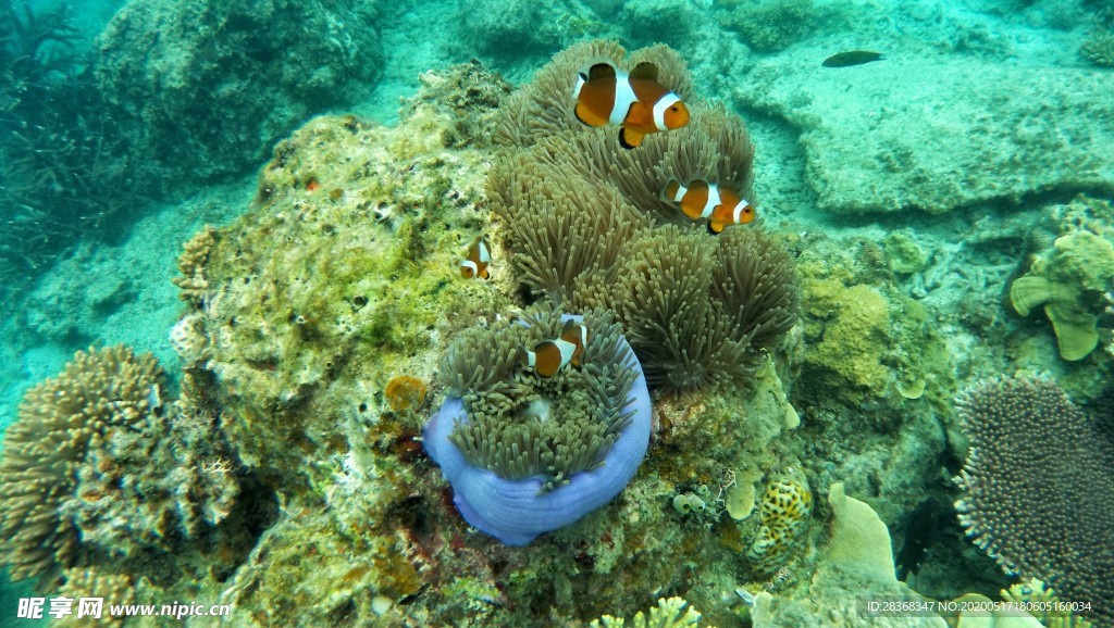 海底风光
