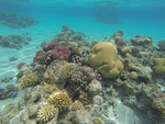 海底风光