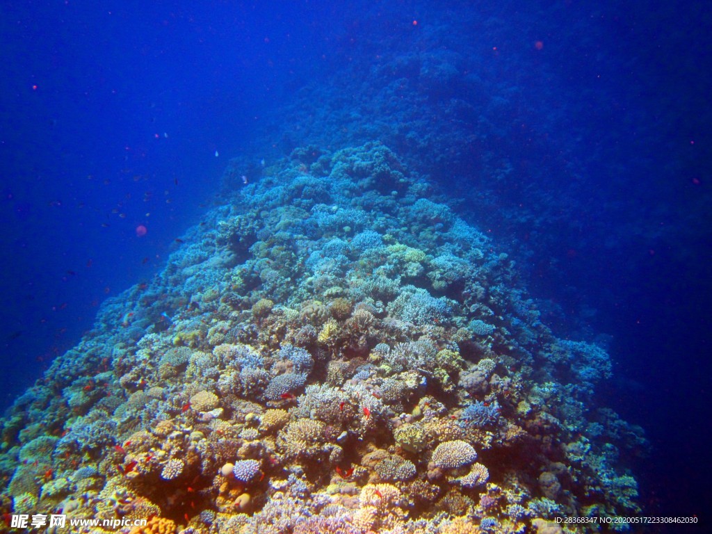 海底风光