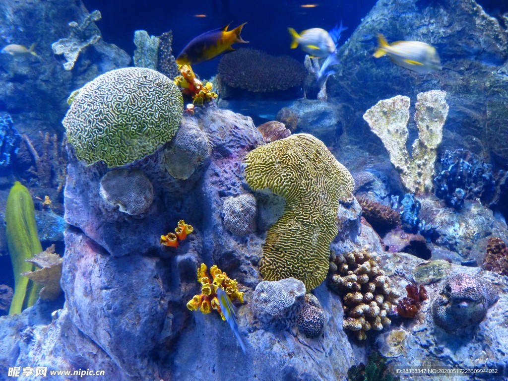 海底风光