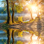 秋季美景
