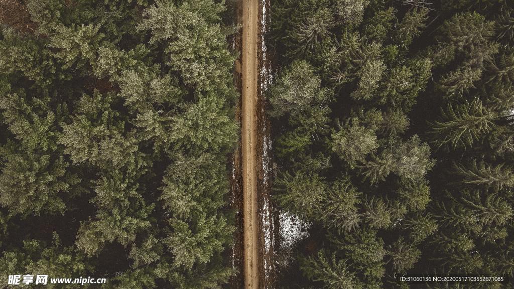 风景