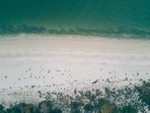 河水