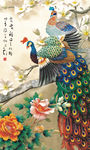 孔雀