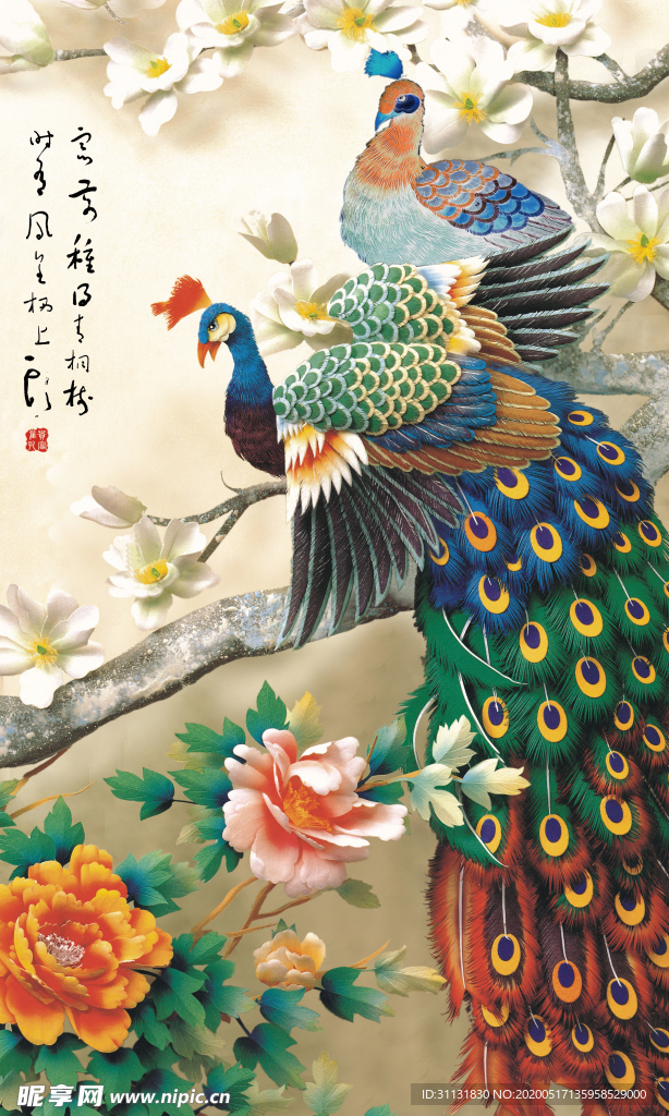 孔雀
