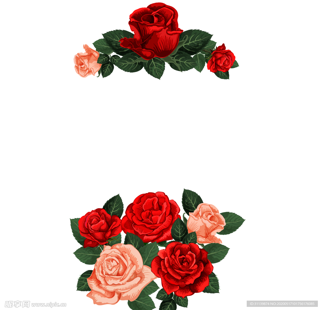 玫瑰花
